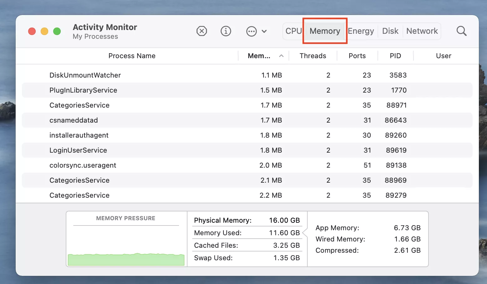 Activity Monitor > Memory