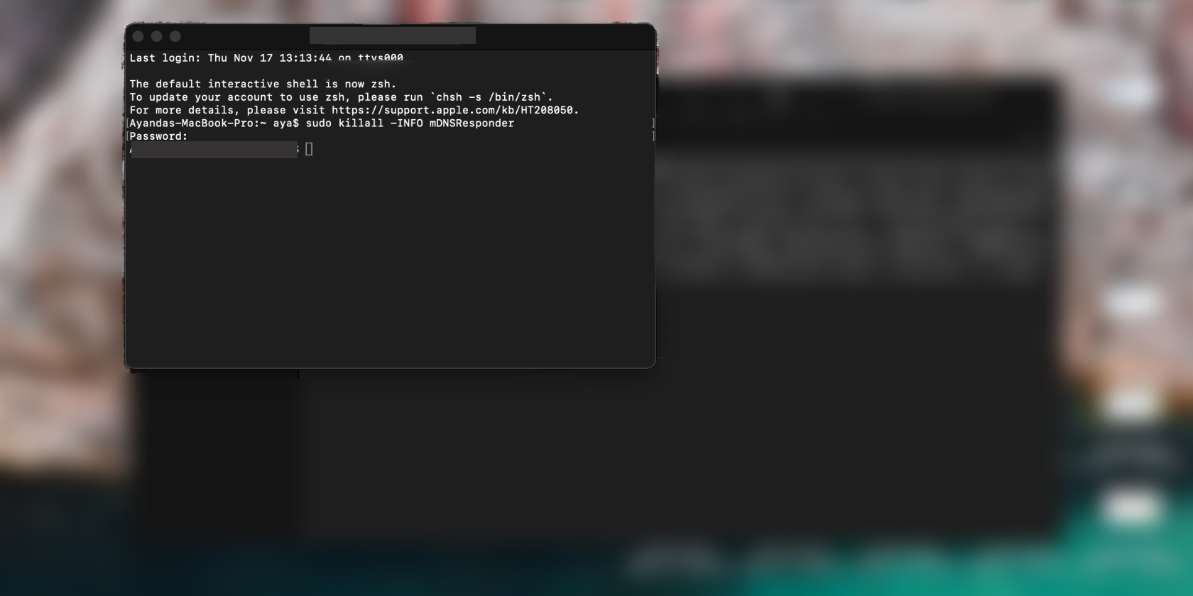 Terminal window open on Mac